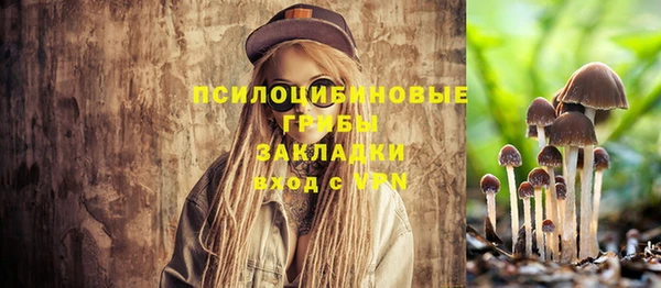 мяу мяу мука Абинск